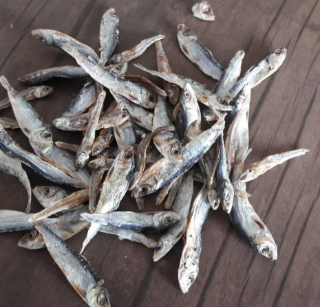 صادرات ماهی خشک