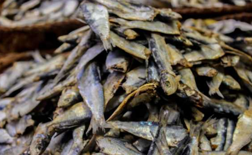 نرخ صادرات ماهی خشک